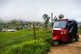 Peaceful Darjeeling