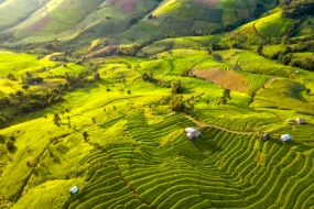 Magical Darjeeling