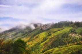 Charming Darjeeling