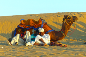 Captivating Jaisalmer