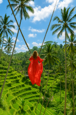 Bali Wonders