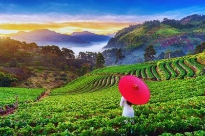 Ooty