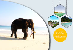 10% off Andaman sightseeing and activities